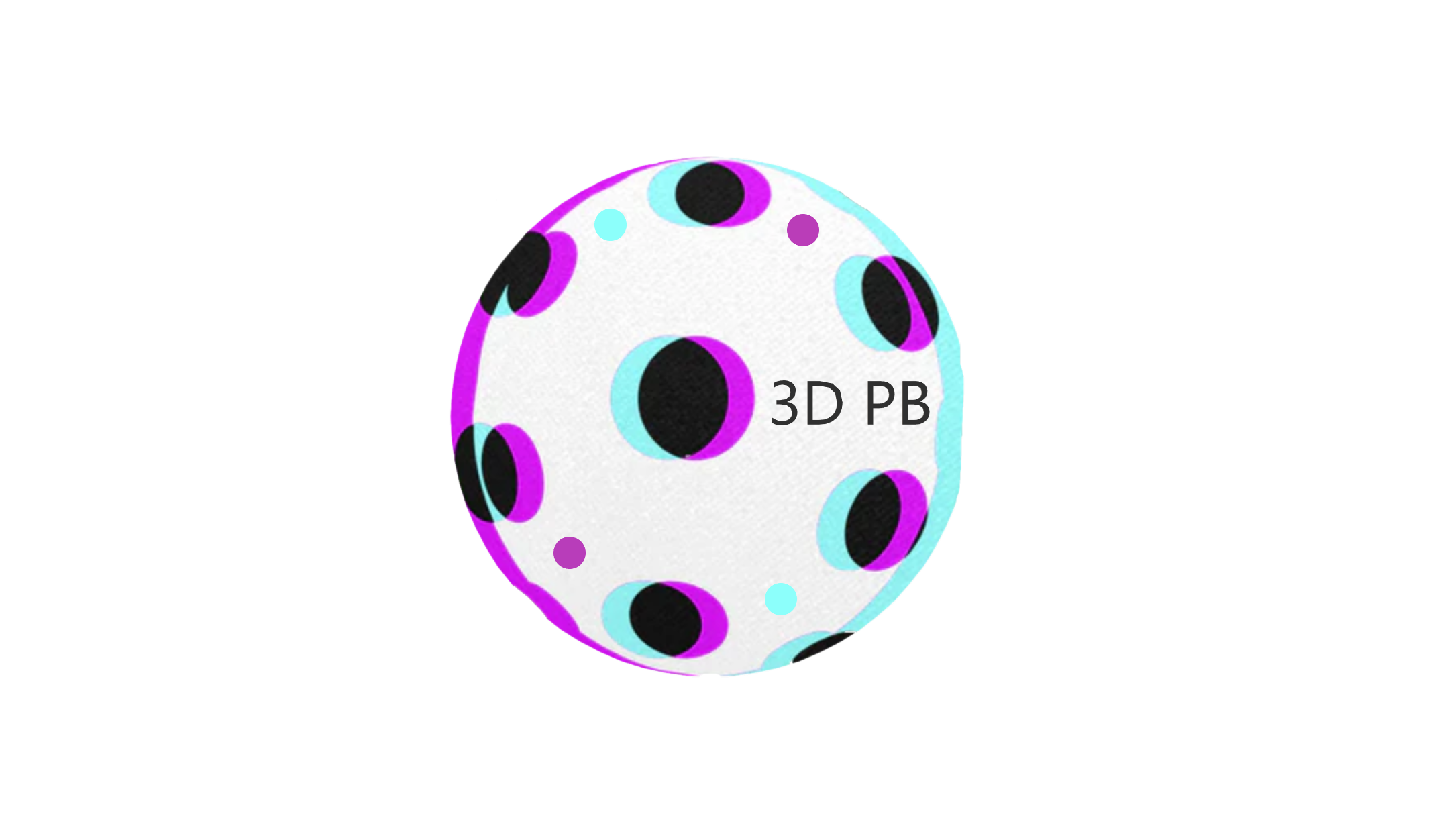 3D Pickleball - 3D PB